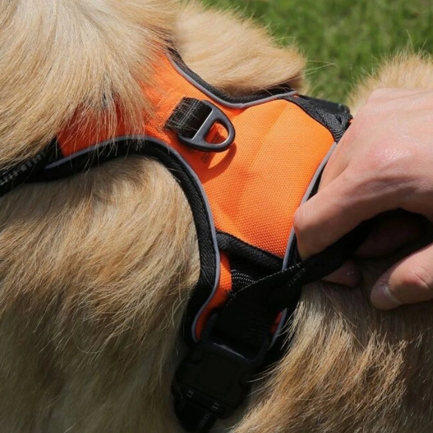 No-Pull Dog Harness - Padded Oxford Vest with Control Handles for Large Dogs - Deribla Store