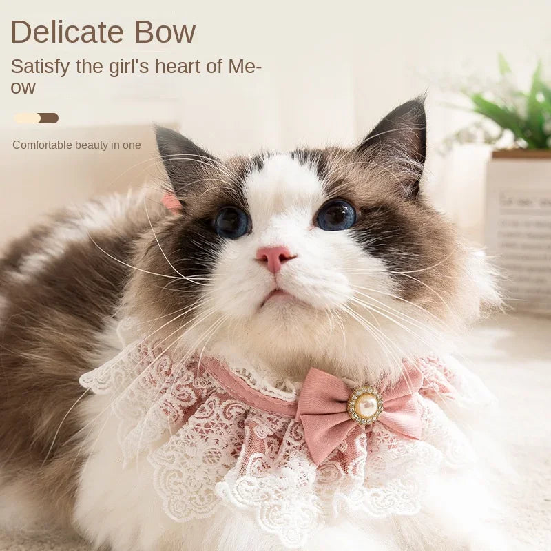 Pearl Lace Bowtie Collar