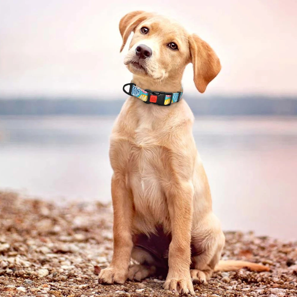 Floral Dog Collar - Adjustable Nylon Flower Print for Small to Large Dogs - Deribla Store