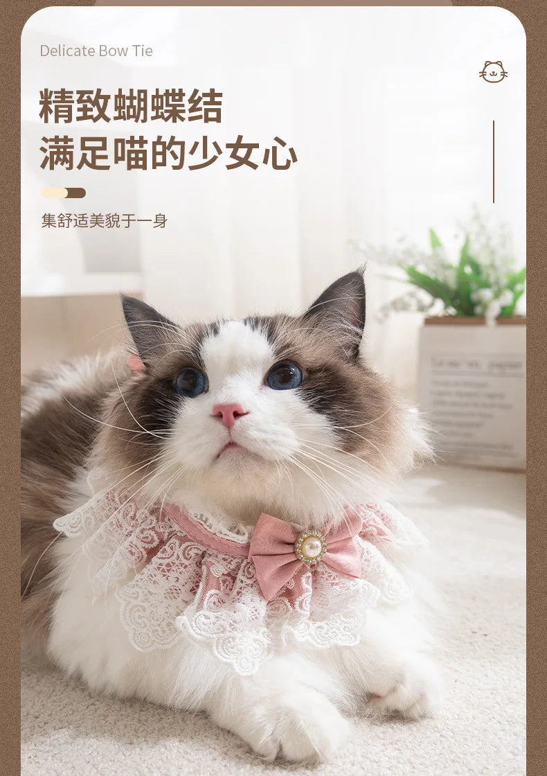 Pearl Lace Bowtie Collar