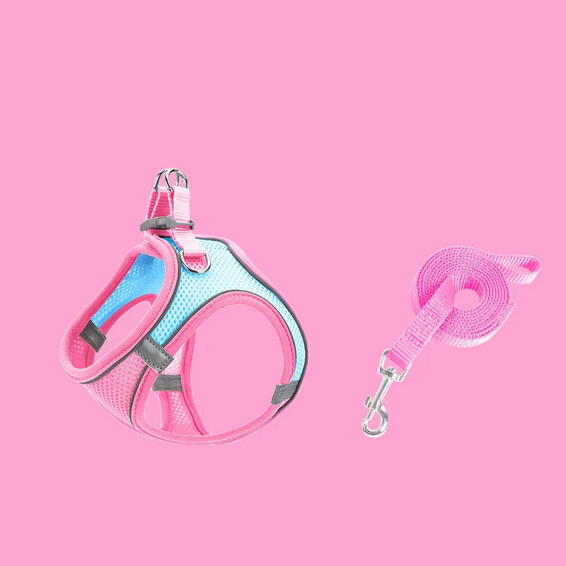 Escape-Proof Cat Harness - Adjustable Breathable Vest with Leash for Kittens - Deribla Store