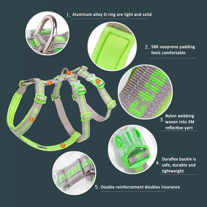 TrueLove Dog Harness 