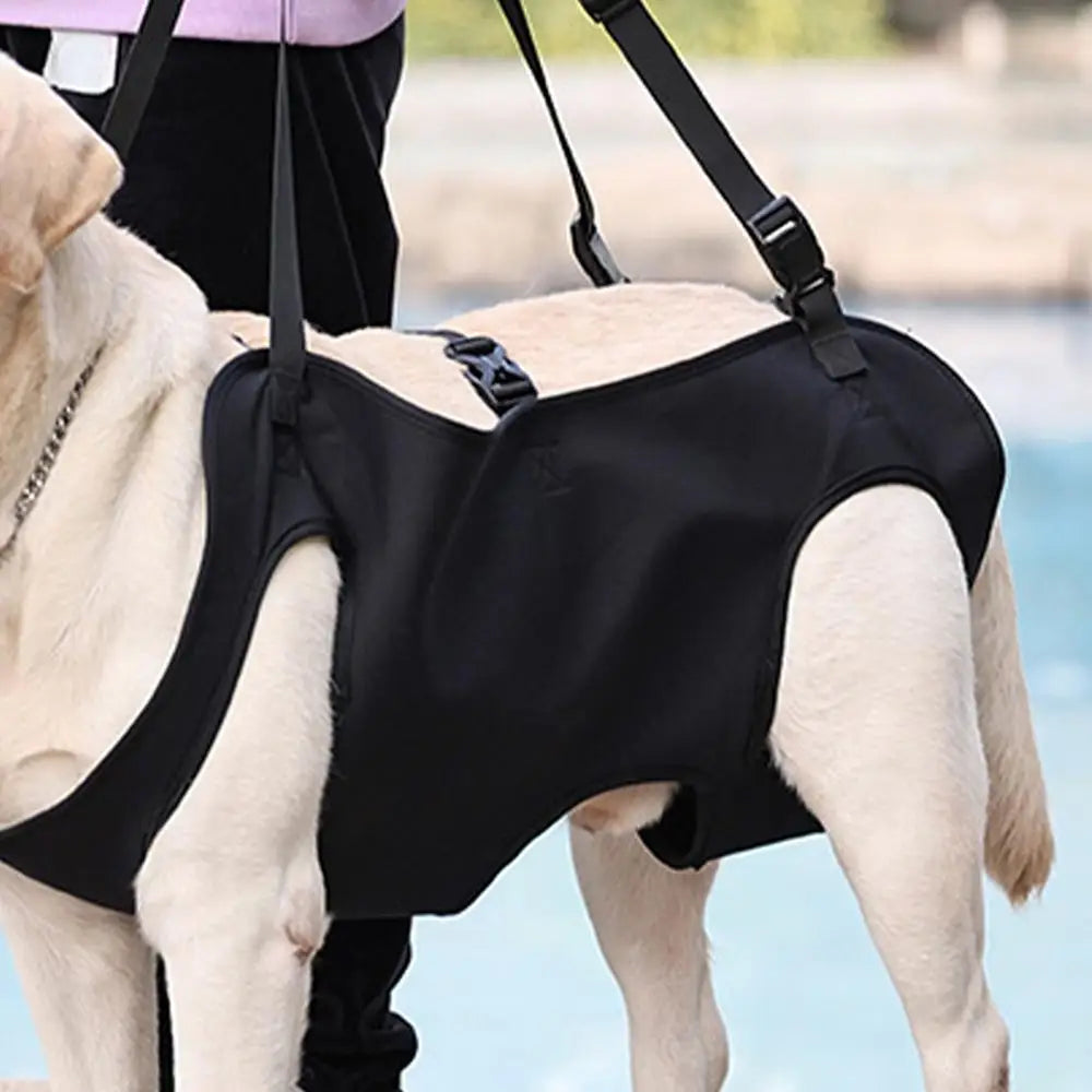 Dog Rehabilitation Sling