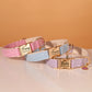 Custom Dog Collar