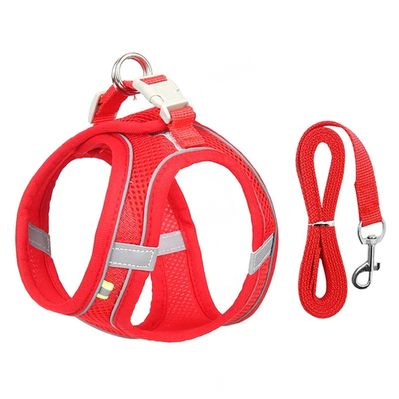 Adjustable Puppy Harness & Leash Set - Soft Vest for Small Dogs, Chihuahuas & French Bulldogs - Deribla Store