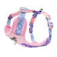Dog Harness and Leash Set