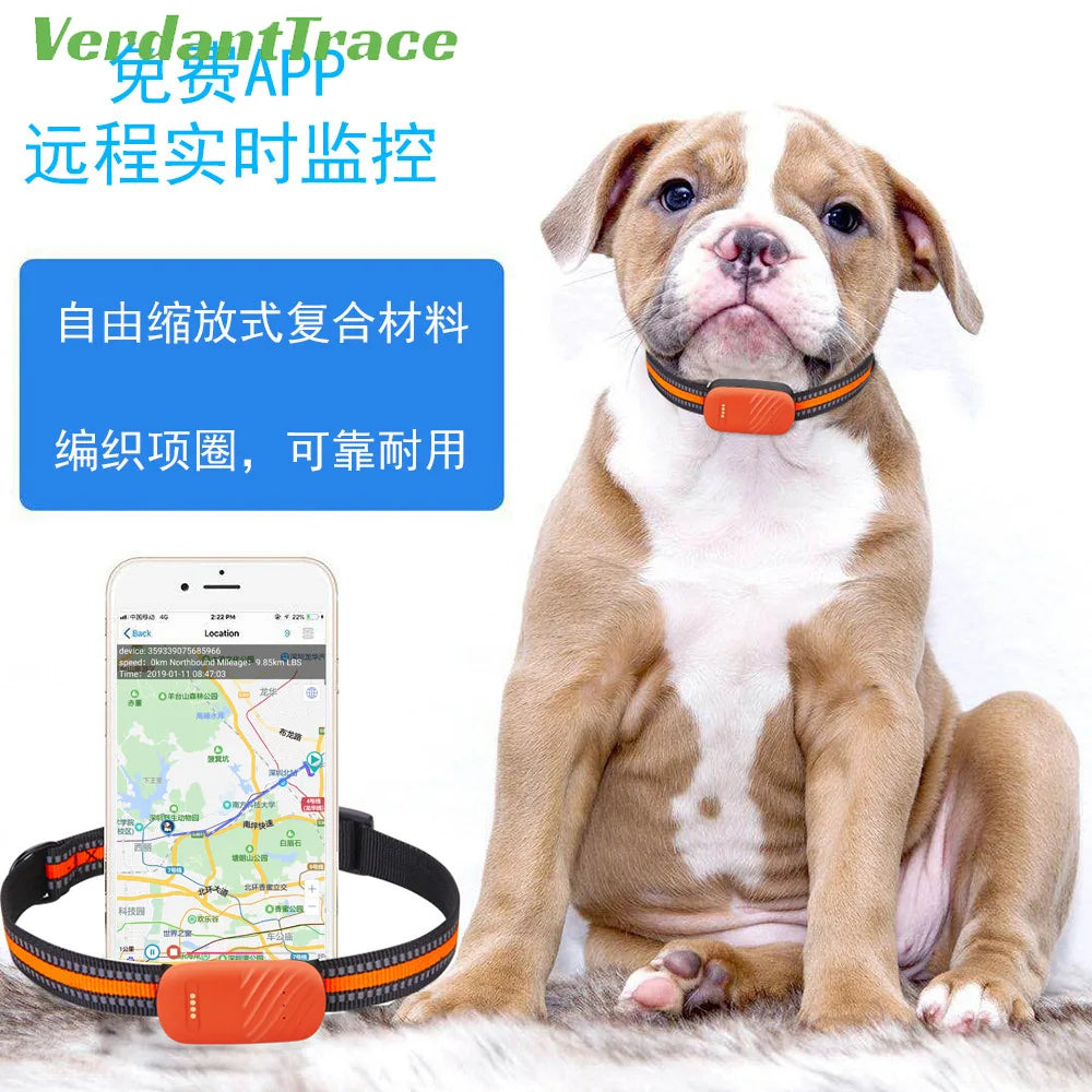 4G GPS Pet Tracker