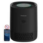 H13 HEPA Air Purifie
