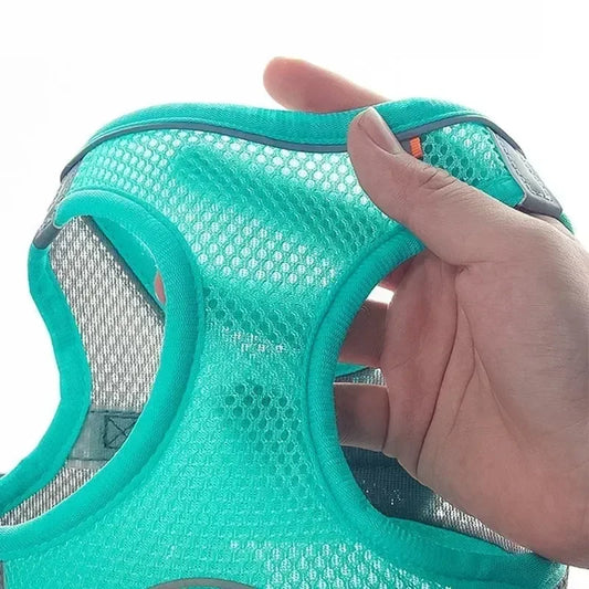 Adjustable Puppy Harness & Leash Set - Soft Vest for Small Dogs, Chihuahuas & French Bulldogs - Deribla Store