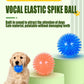 Pet Toy Ball - Sounding Tooth Cleaning Thorn Ball for Dogs & Cats - Deribla Store