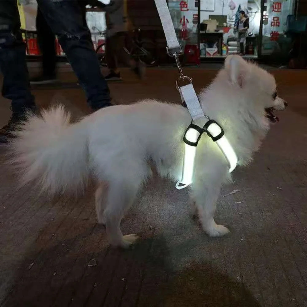 LED Dog Harness 