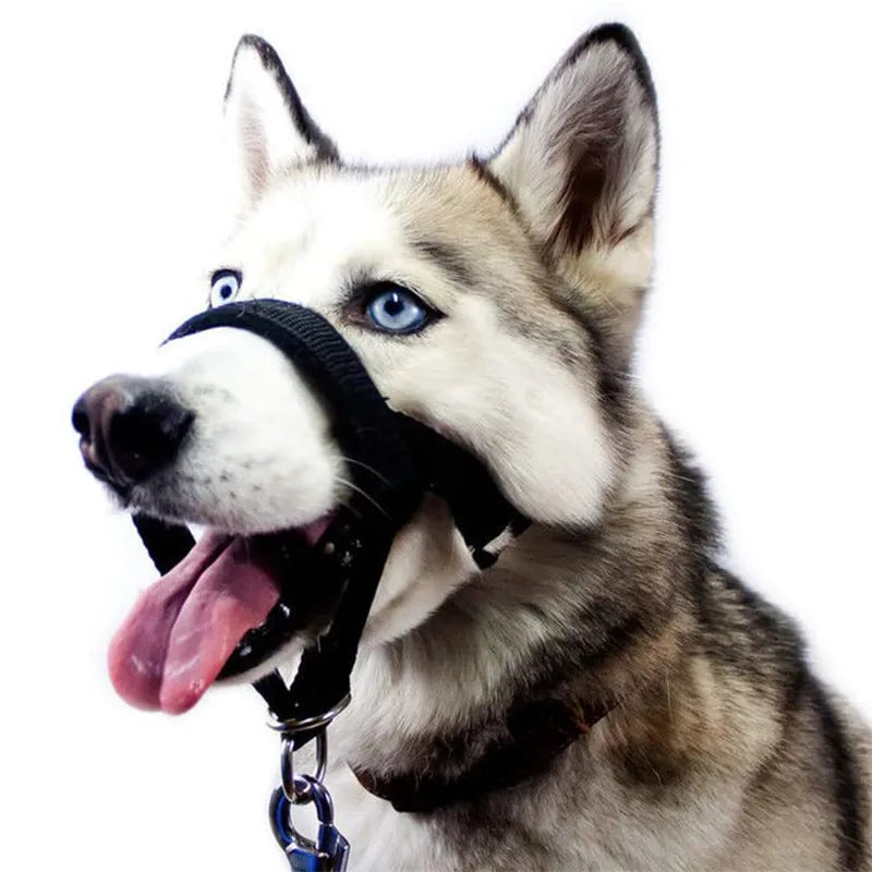Adjustable Dog Muzzle - Reflective Padded Anti-Bite Training Muzzle for Dogs - Deribla Store