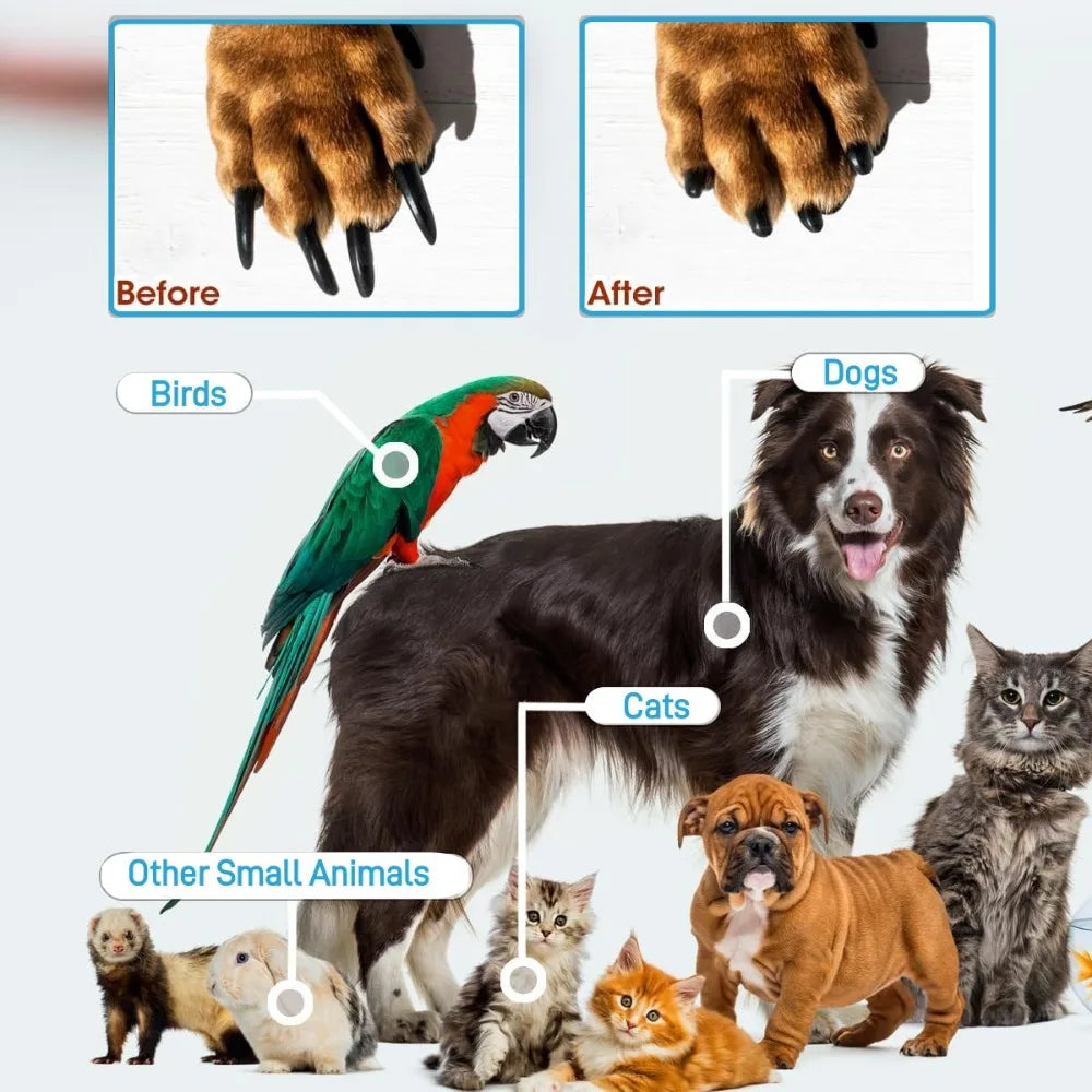 Professional Pet Nail Clipper with Safety Guard - Stainless Steel for Dogs & Cats - Deribla Store