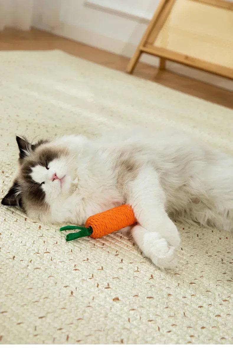 Carrot Cat Toy with Sound - Sisal Teething Stick, Bite-Resistant Dental Chew Toy - Deribla Store