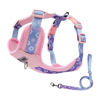 Dog Harness and Leash Set
