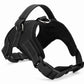 Quick Release Dog Harness