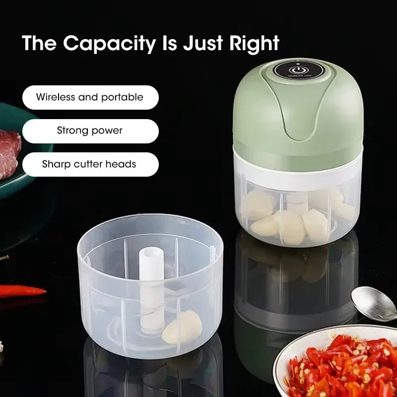 Electric Garlic Chopper 250ML USB