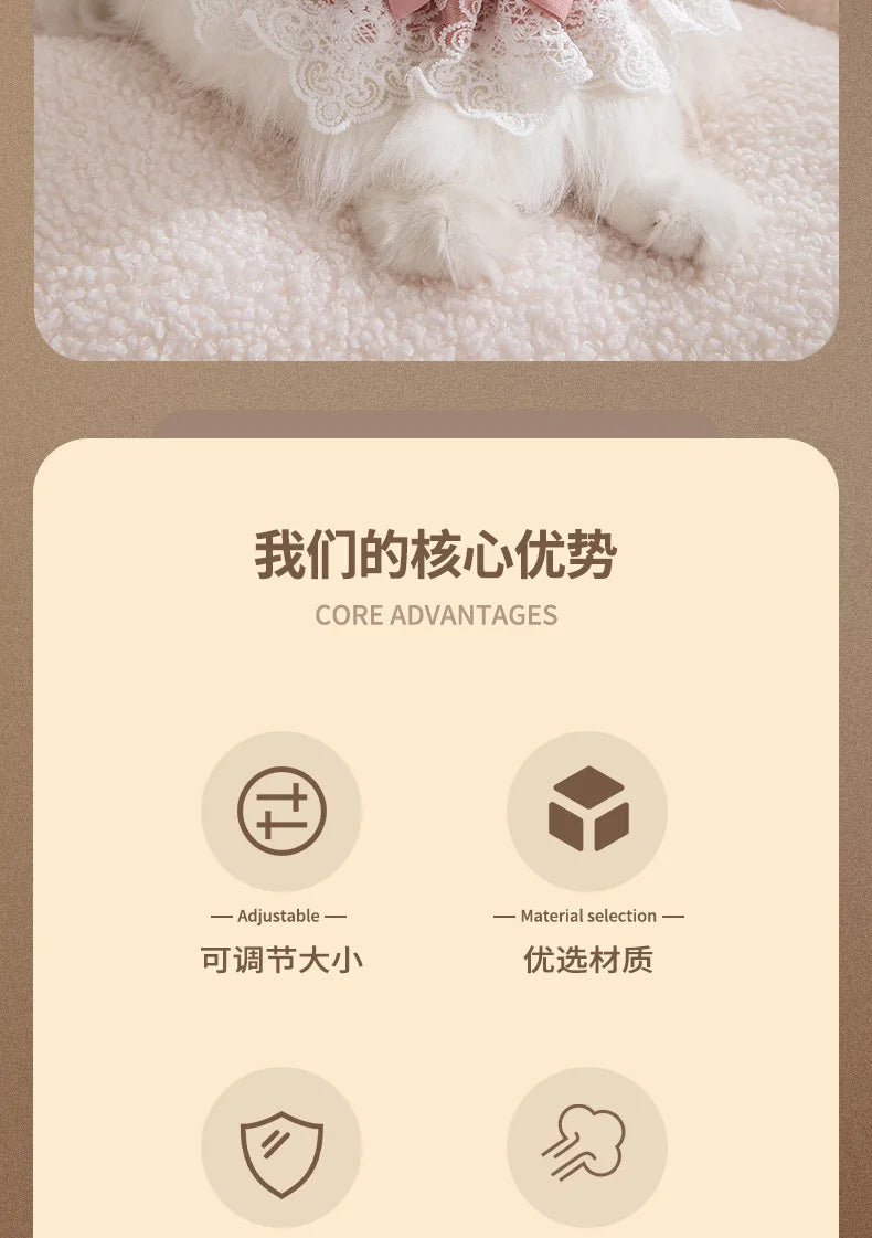 Pearl Lace Bowtie Collar