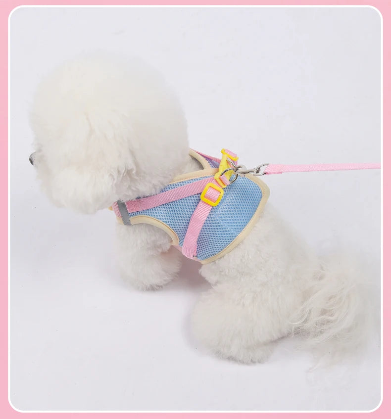 Mesh Dog Harness Leash Set
