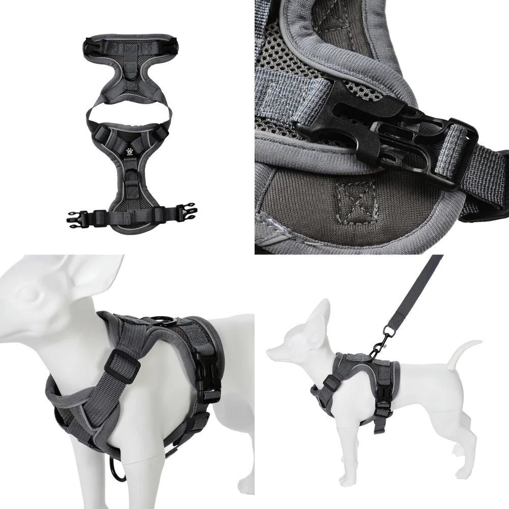 Dog Harness Leash Set 