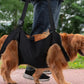 Dog Rehabilitation Sling