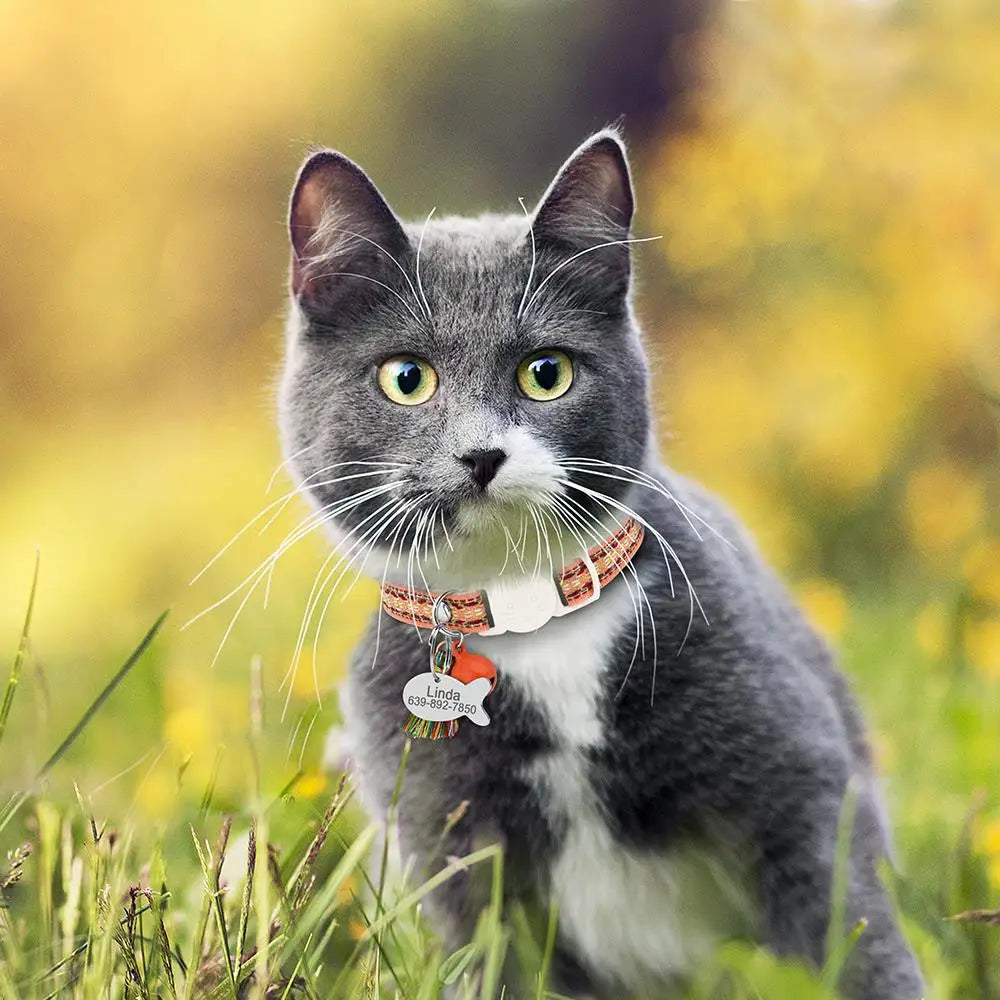 Personalized Cat Collar Breakaway