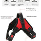 Quick Release Dog Harness