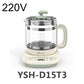 Health Pot Electric Multifunctional 2025 - Tea Kettle Set - Deribla Store