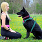 Breathable No Pull Dog Harness
