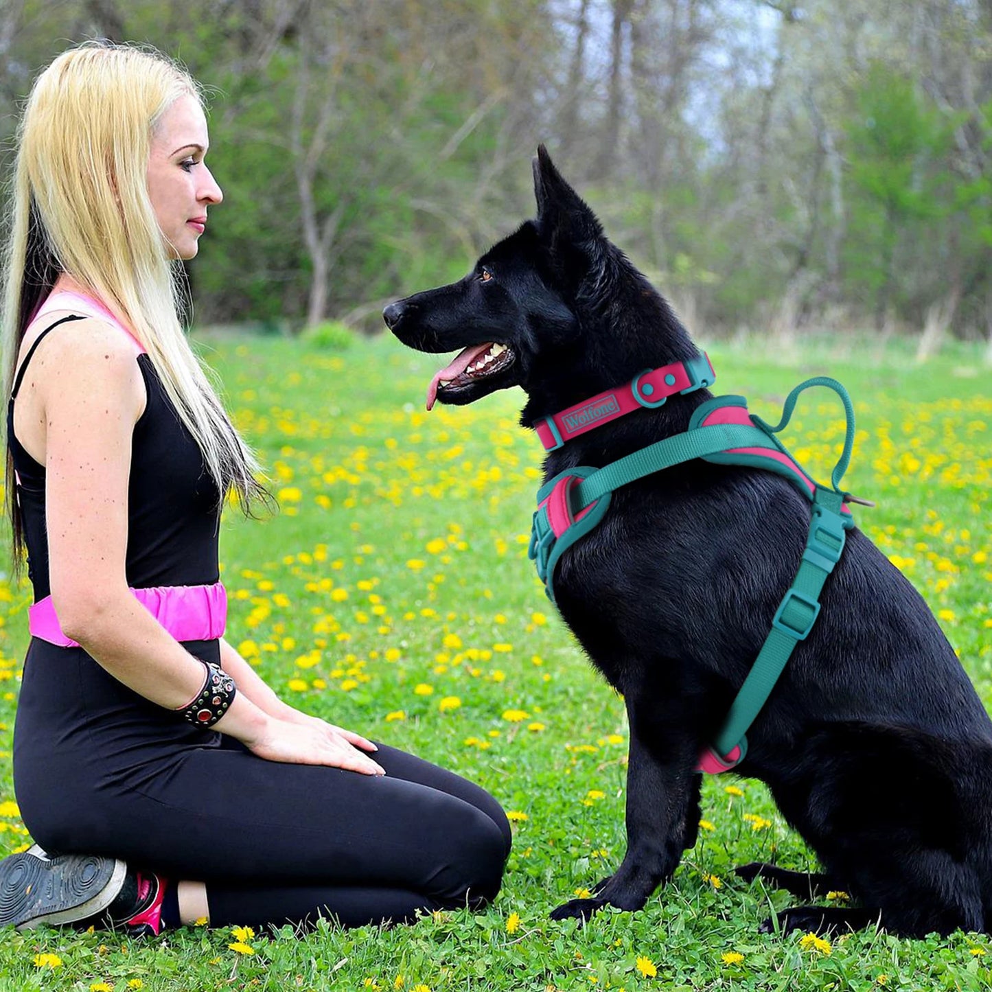 Breathable No Pull Dog Harness