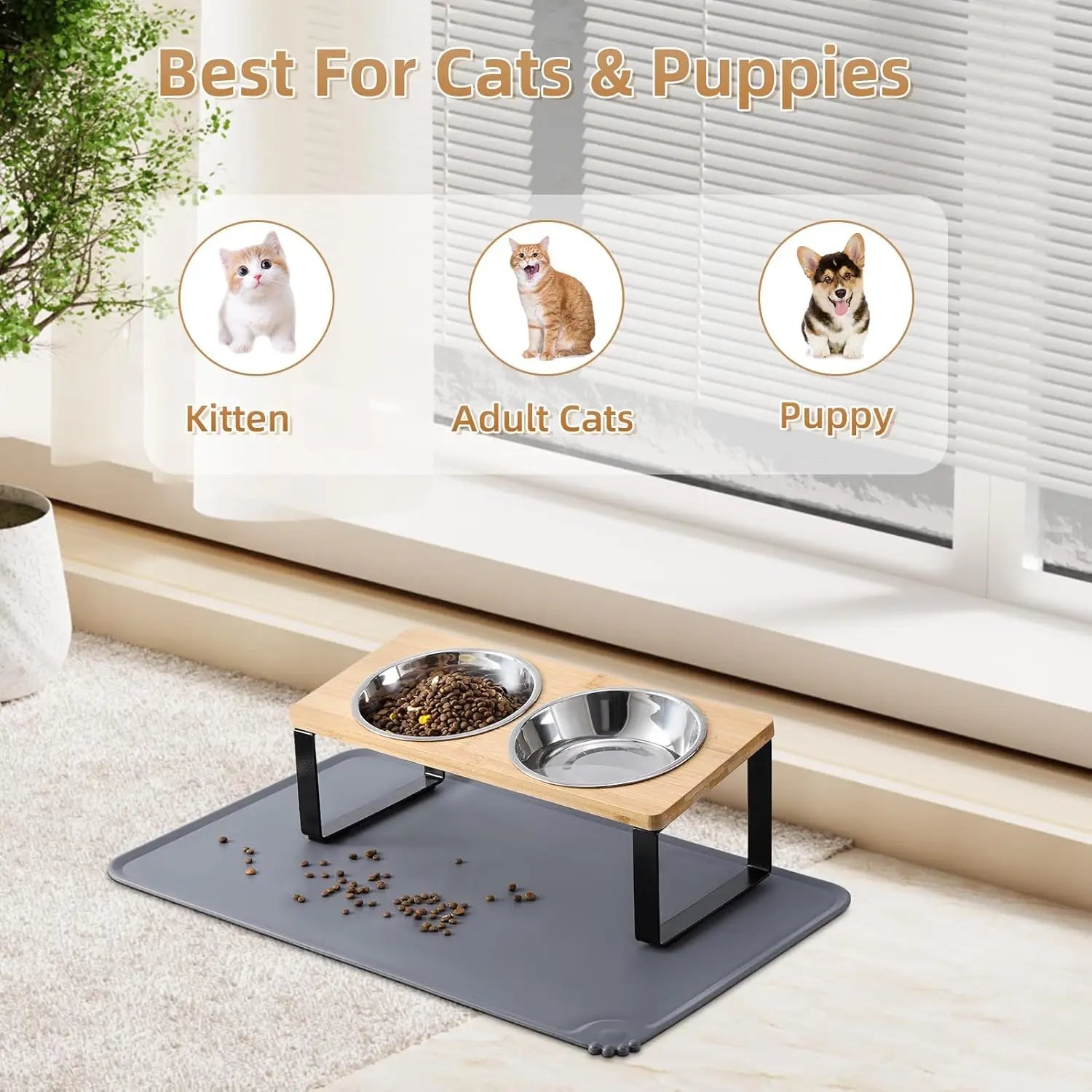 Elevated Cat Bowl Set - 15° Tilted Anti-Vomit Feeder with Non-Slip Mat - Deribla Store
