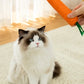 Carrot Cat Toy with Sound - Sisal Teething Stick, Bite-Resistant Dental Chew Toy - Deribla Store