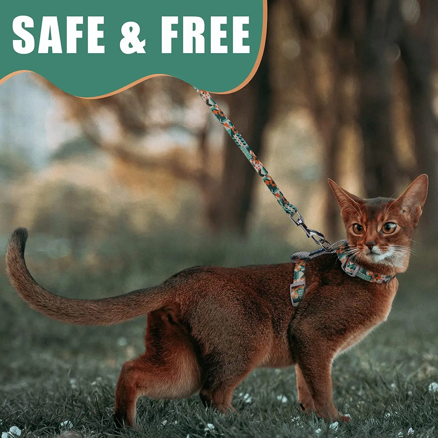 Premium Leather Cat Leash - 1.5M Walking & Training Lead for Cats & Small Dogs - Deribla Store