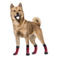 Dog Socks Anti-Slip - Soft Knitted Paw Protector for Indoor Wear - Deribla Store