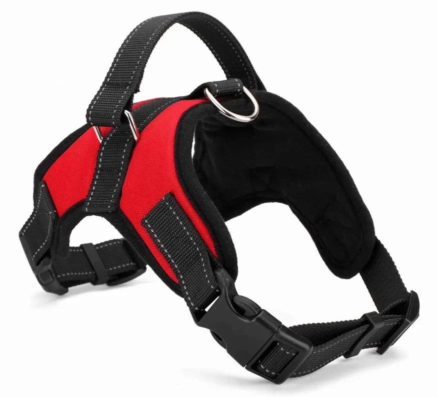 Quick Release Dog Harness