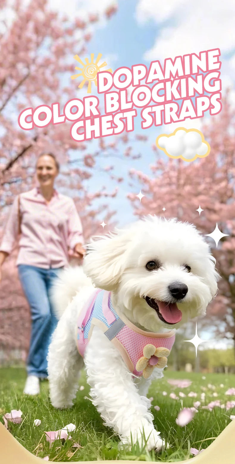 Mesh Dog Harness Leash Set