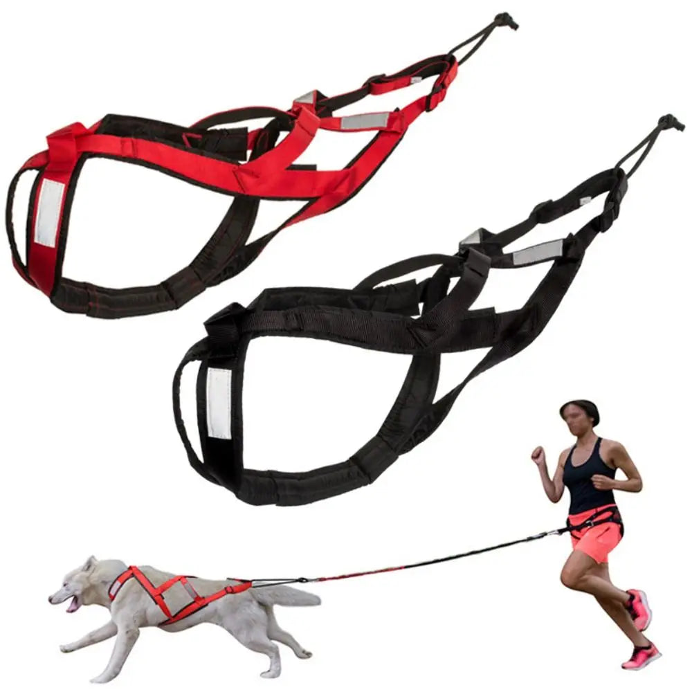 Dog Harness 