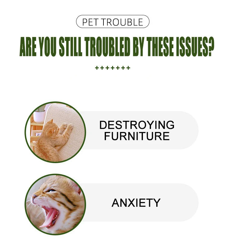 Pet Toy Ball - Sounding Tooth Cleaning Thorn Ball for Dogs & Cats - Deribla Store