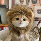 Lion Mane Pet Costume - Funny Cat & Dog Wig Hat with Ears for Parties - Deribla Store