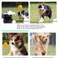 Pet Toy Ball - Sounding Tooth Cleaning Thorn Ball for Dogs & Cats - Deribla Store