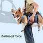 Dog Rehabilitation Sling