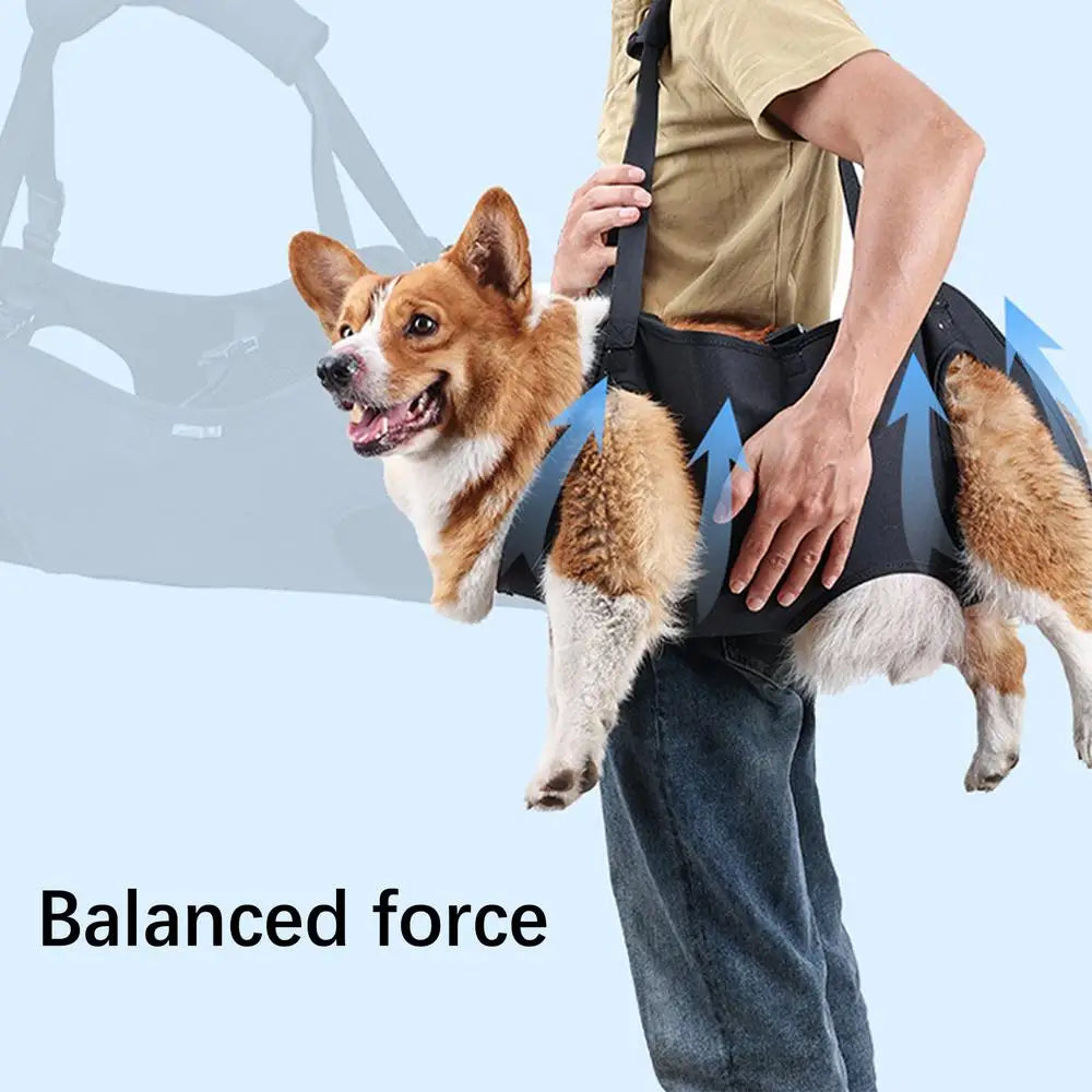 Dog Rehabilitation Sling