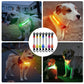 LED Dog Collar - Waterproof Glowing Safety Collar with USB Rechargeable Light - Deribla Store