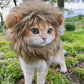 Lion Mane Pet Costume - Funny Cat & Dog Wig Hat with Ears for Parties - Deribla Store