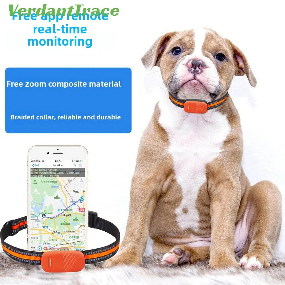 4G GPS Pet Tracker