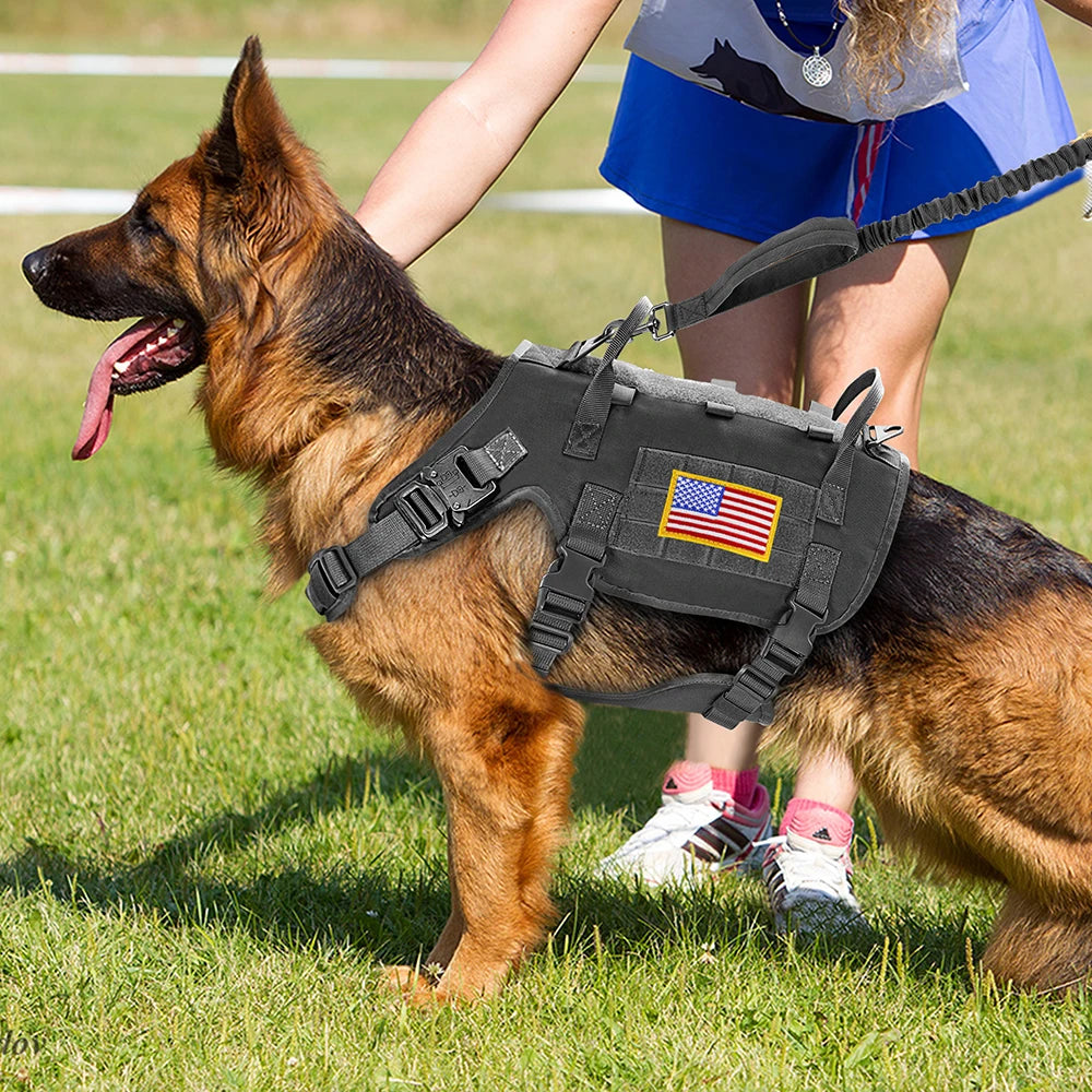 Tactical Dog Harness