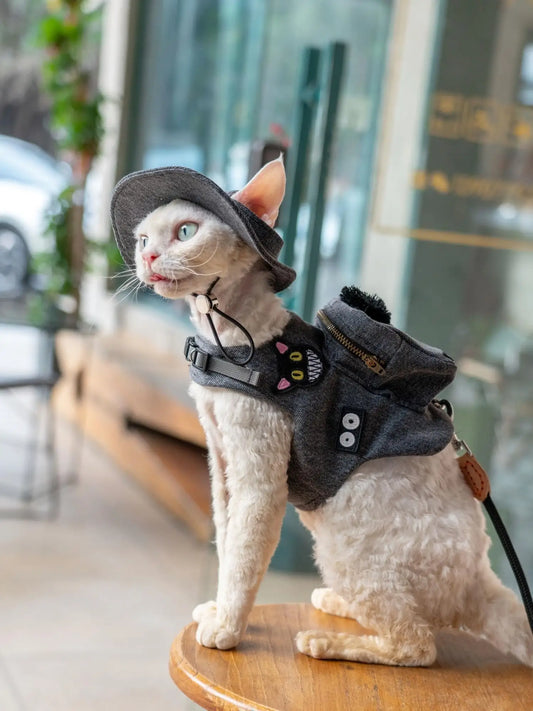 Luxury Cat Carrier Backpack with Harness - Travel Bag for Cats - Deribla Store