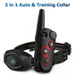 Dog Training Collar