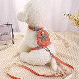 Cat Harness & Leash Set - Anti-Escape Chest Strap for Outdoor Walking - Deribla Store