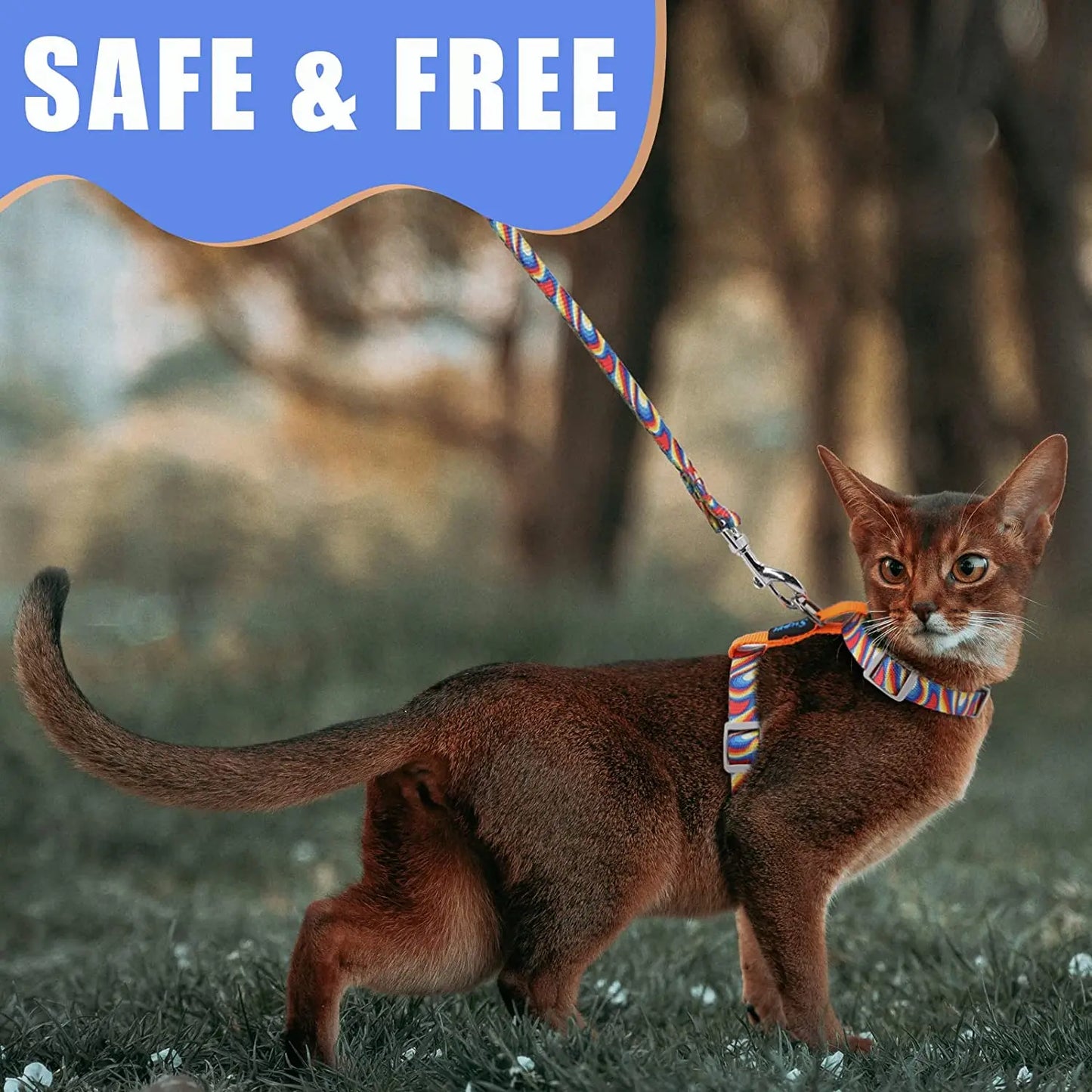Premium Leather Cat Leash - 1.5M Walking & Training Lead for Cats & Small Dogs - Deribla Store
